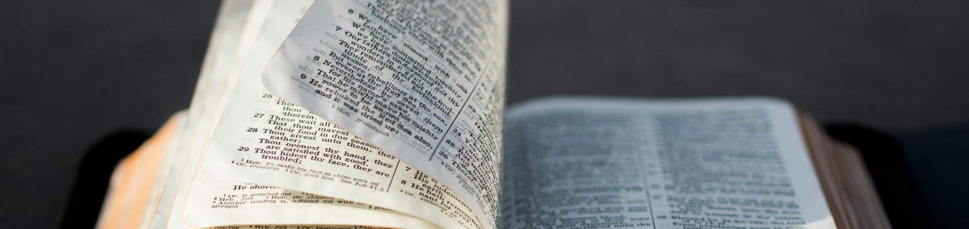 bible