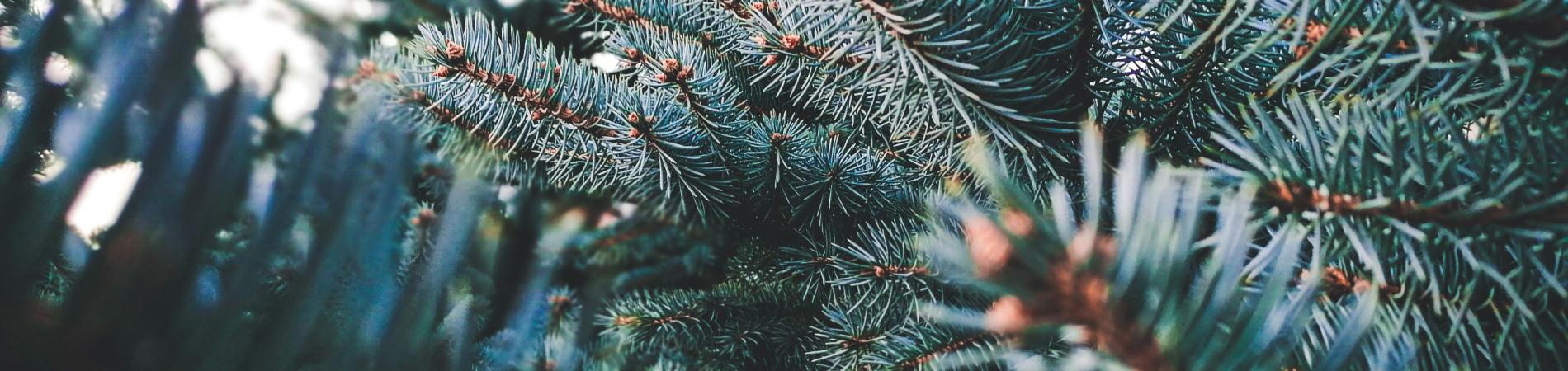 December