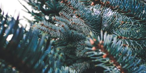 December