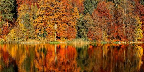 fall